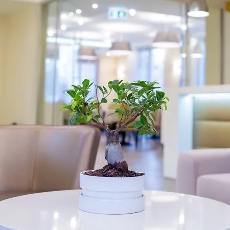 Bh Kristaly Hotel 3*